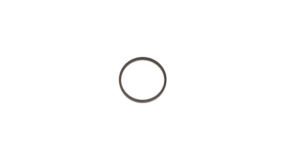 Turcon-Glyd-Ring Produktbild product_unpacked_80degrees L