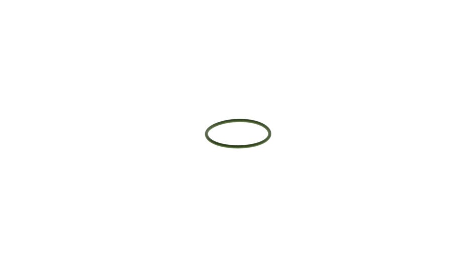 O-Ring 25,00x1,50 FKM-75 grün Produktbild